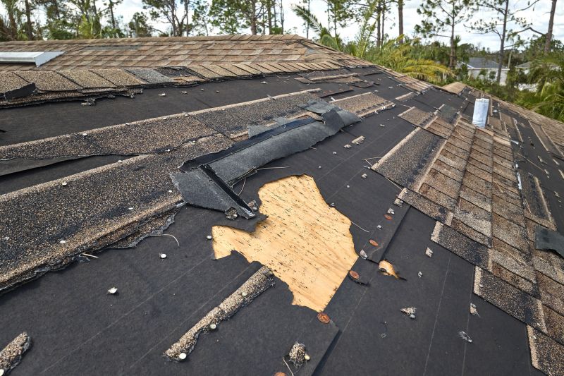 Roof Inspection and Assessment